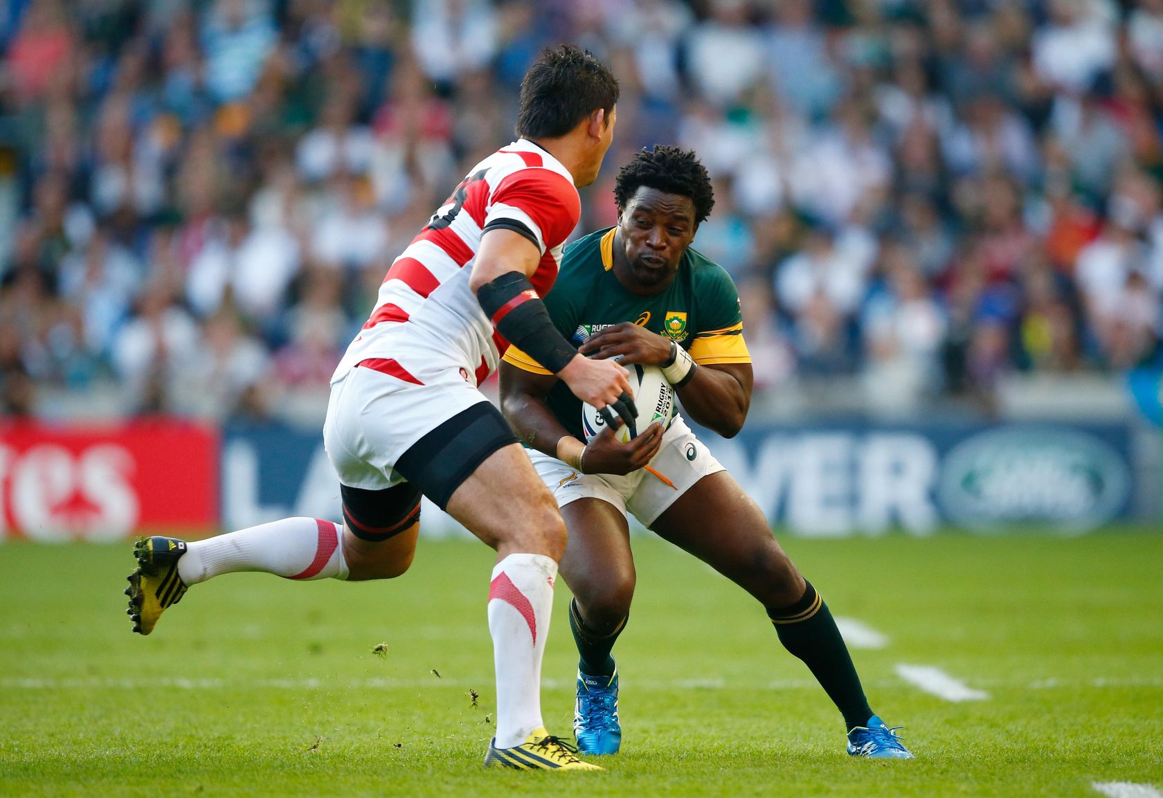 Kolisi Si Perdemos En El Inicio Cada Partido Sera Como Una Final Rugby World Cup