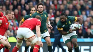 ワールドラグビー