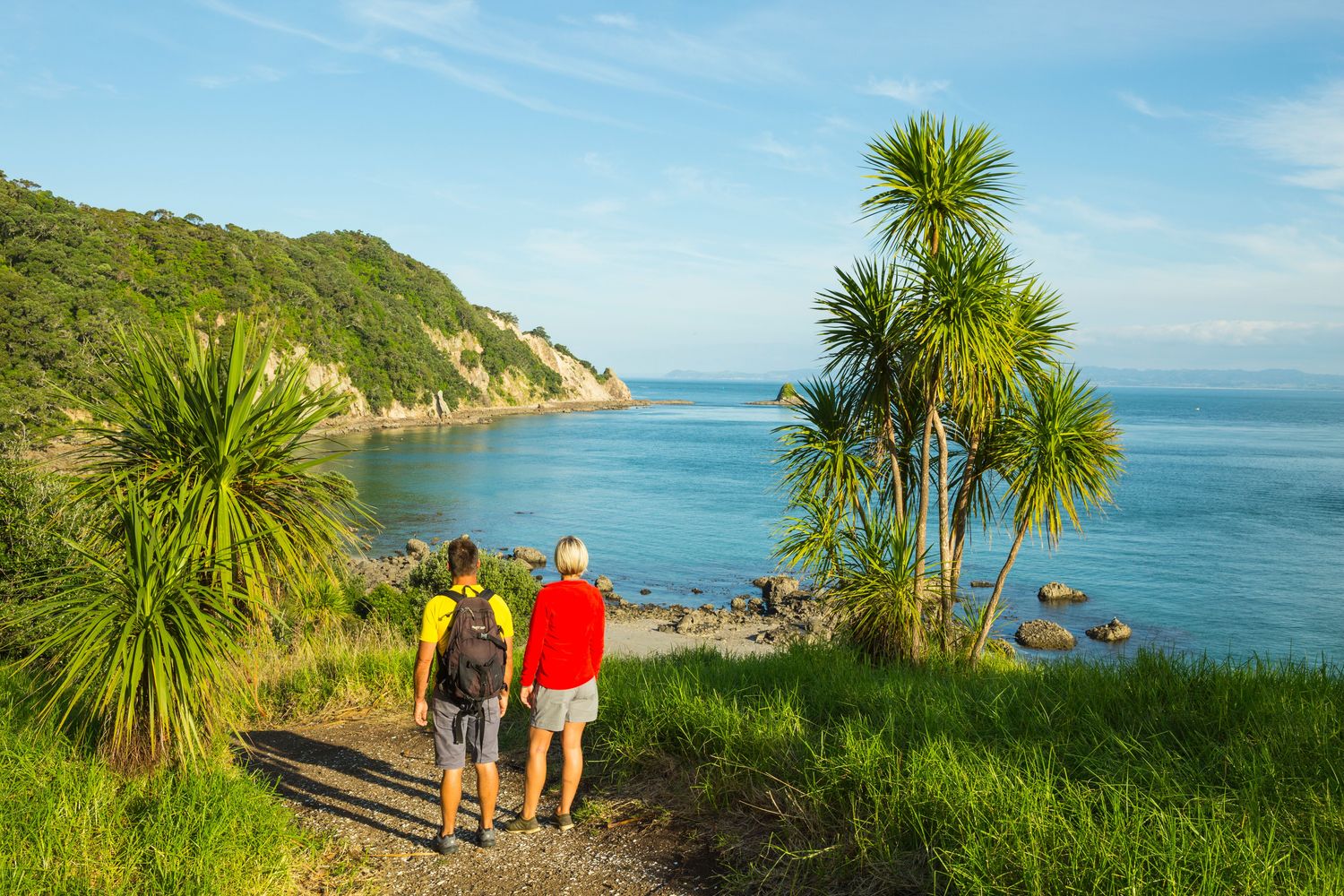 Whangarei Harbour