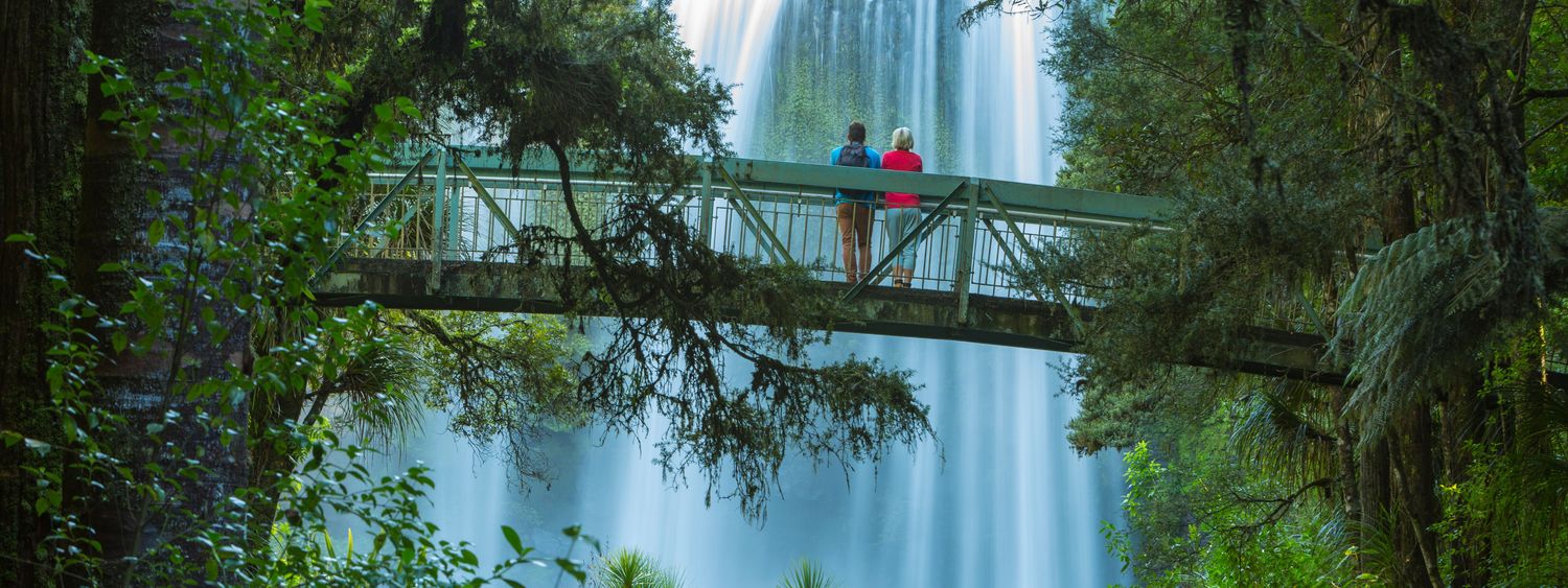 Otuihau Whangarei Falls