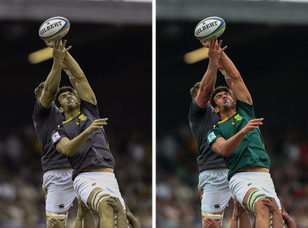 Ire v RSA