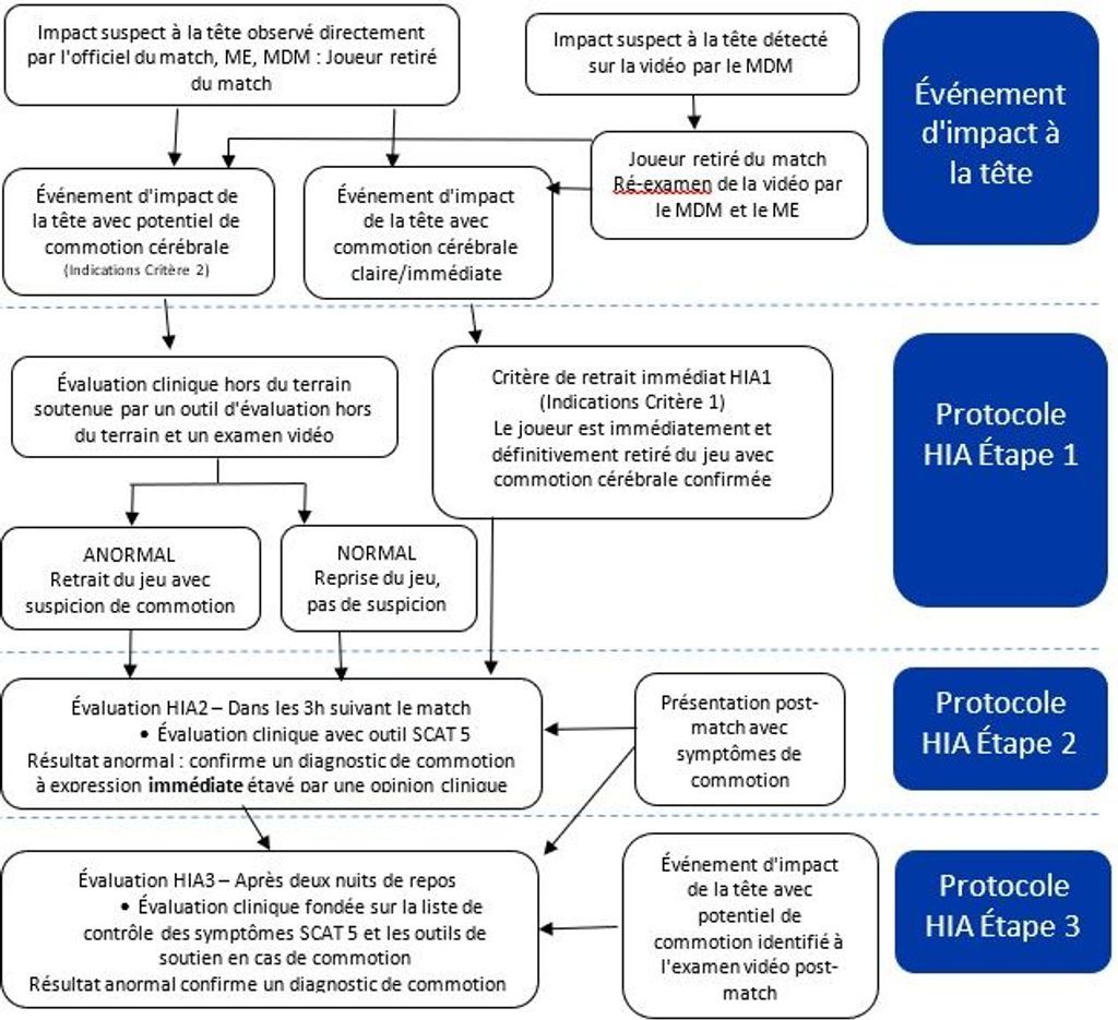 Protocole HIA World Rugby
