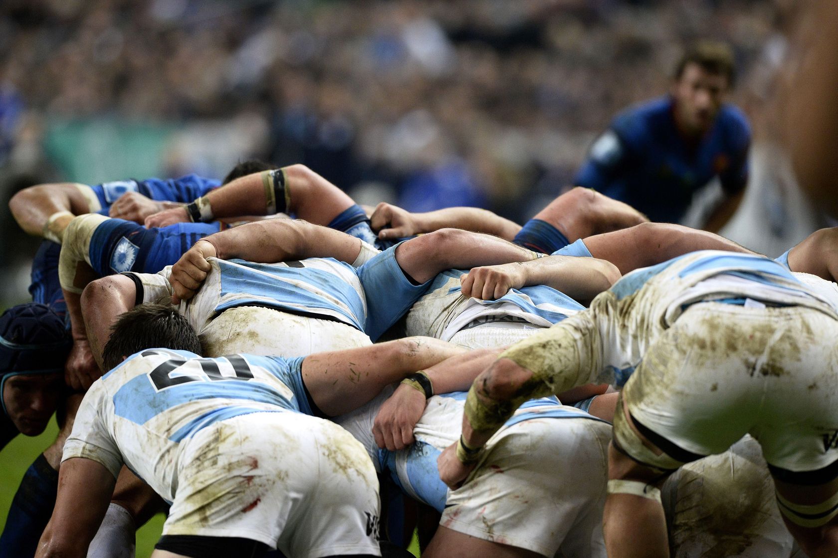 La mêlée, griffe des Pumas Coupe du Monde de Rugby La mêlée, griffe des Pumas Coupe du Monde de Rugby