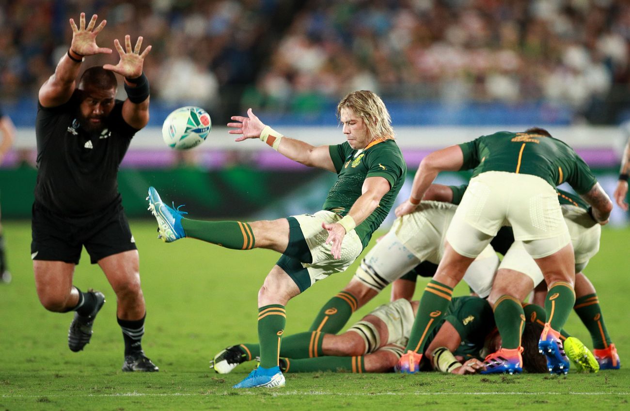 16 Funny Springbok Rugby Memes Factory Memes