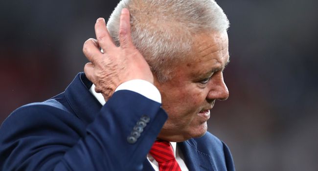 New Zealand v Wales - Rugby World Cup 2019: Bronze Final