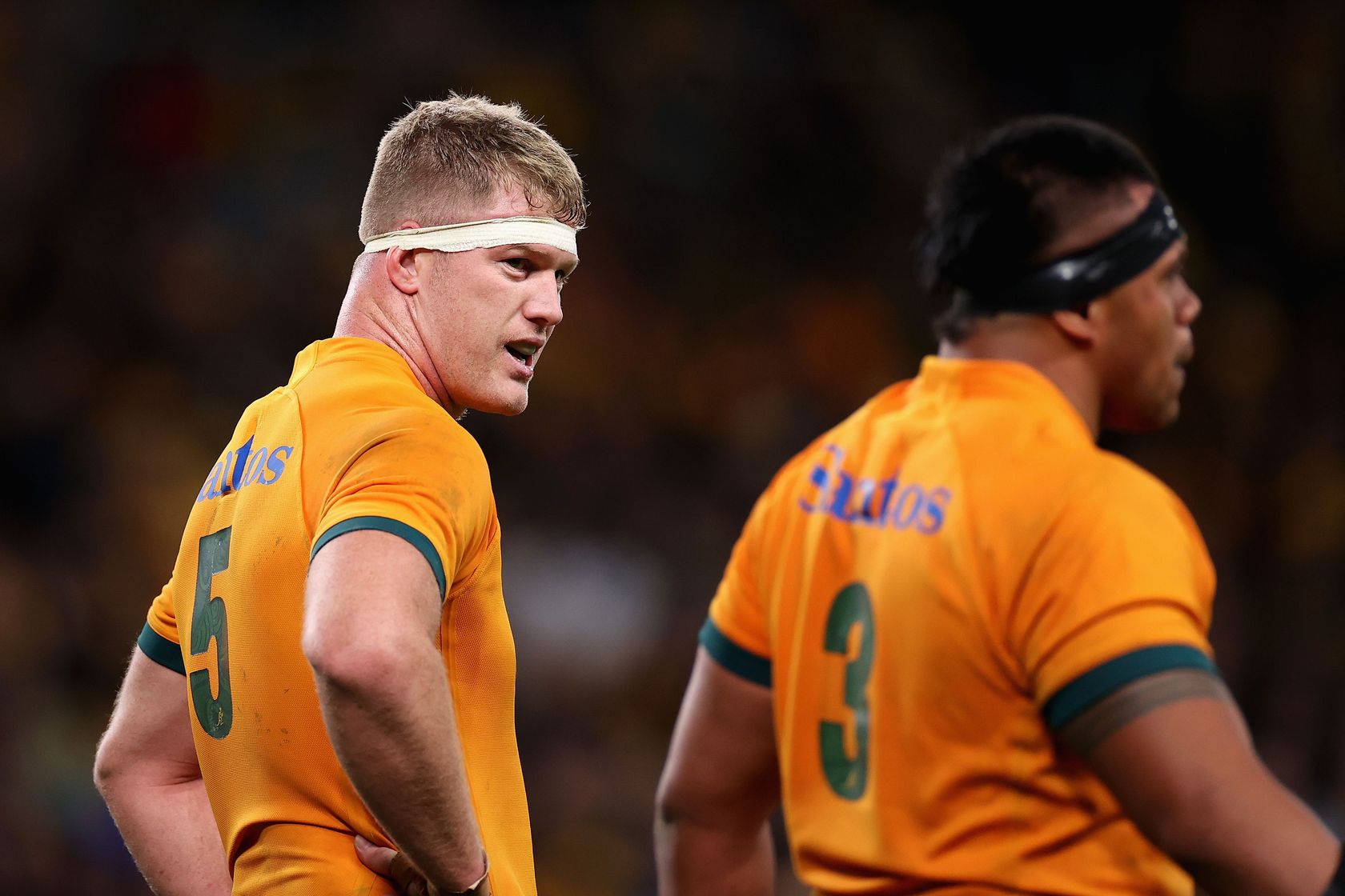 Australia v South Africa - Rugby Championship