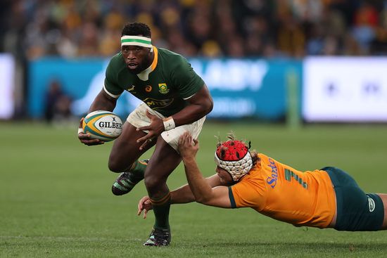 ラグビー 南アフリカ スプリングボクス RWC2023 優勝記念 とおく  