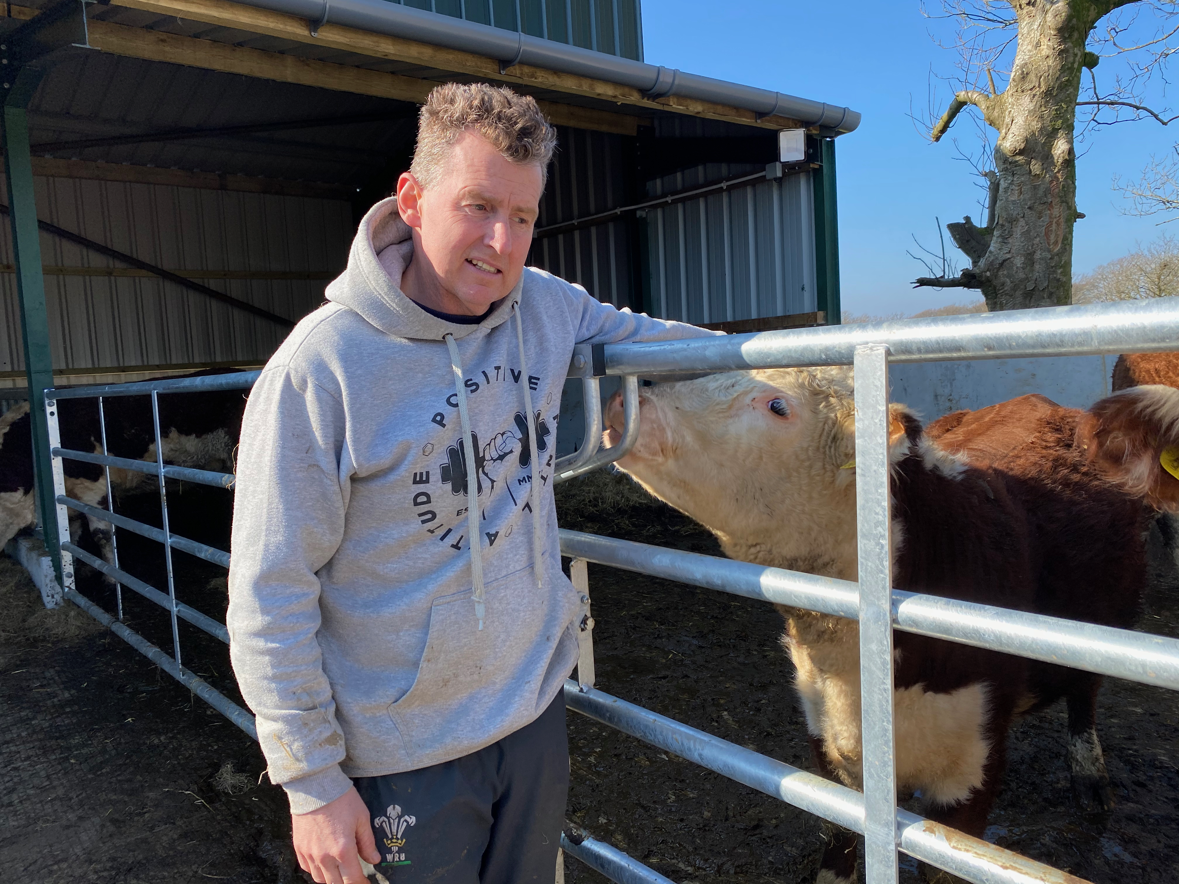 Whistle Watch Nigel Owens On Wales England Refereeing Decisions Louis Rees Zammit S Lions Chances And Taking A Call On The Pitch Rugby World Cup 2019